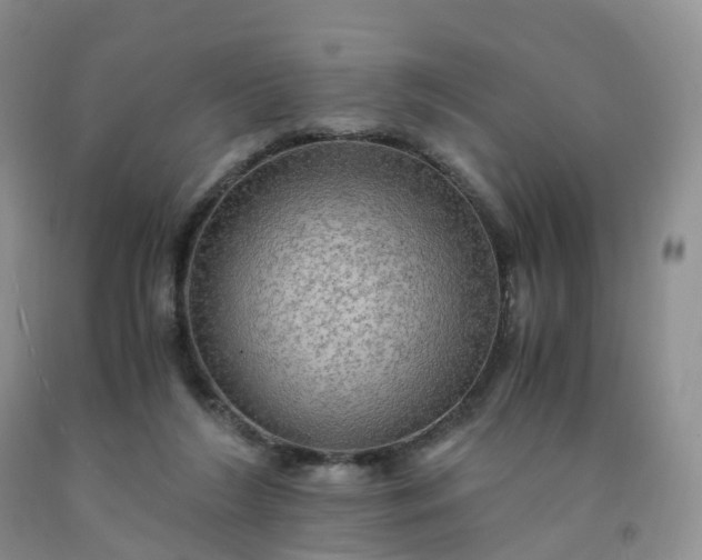 X0000092000212200709201516