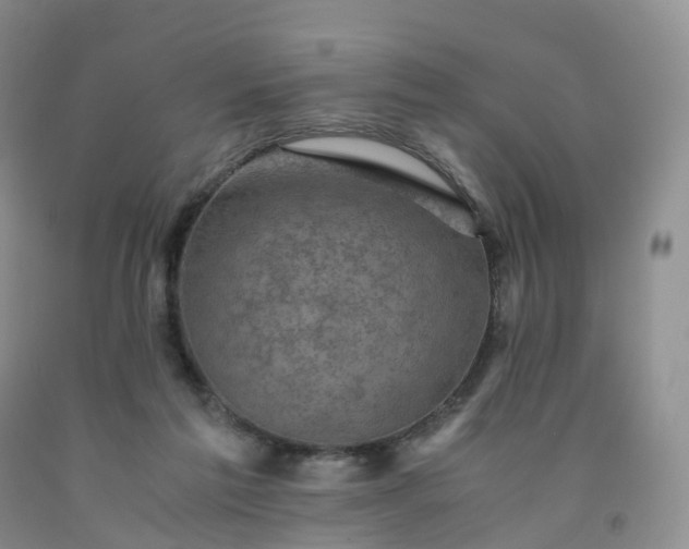 X0000092000213200709201516