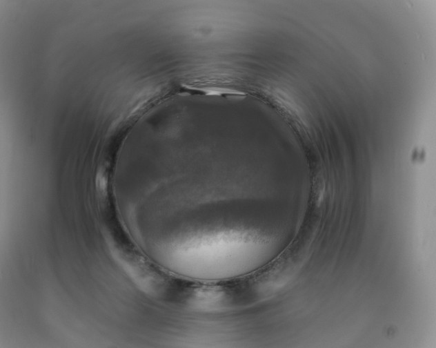 X0000092000214200709201516