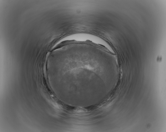 X0000092000215200709201516