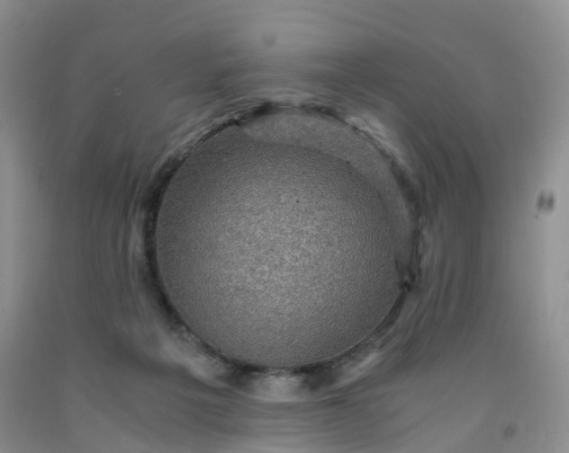 X0000092000217200709201516