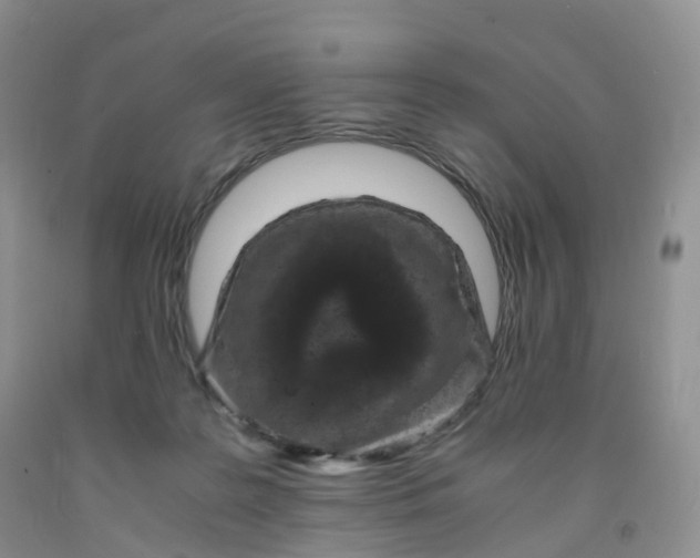 X0000092000219200709201516