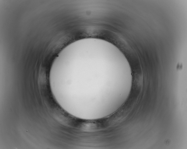 X0000092000220200709201516