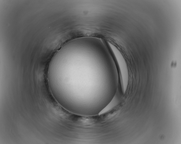 X0000092000221200709201516