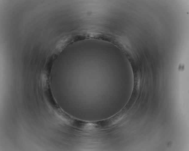 X0000092000222200709201516