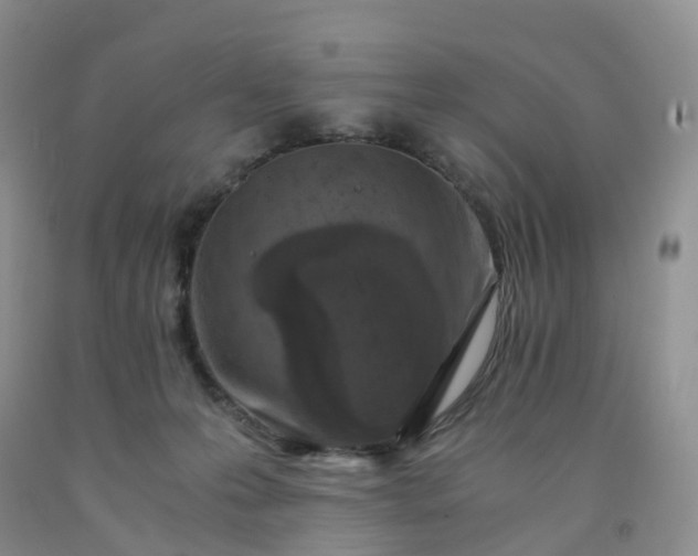 X0000092000223200709201516