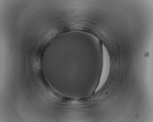 X0000092000224200709201516