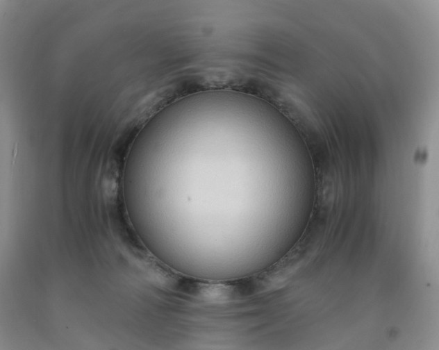 X0000092000226200709201516