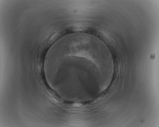 X0000092000227200709201516