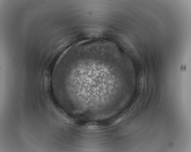 X0000092000228200709201516