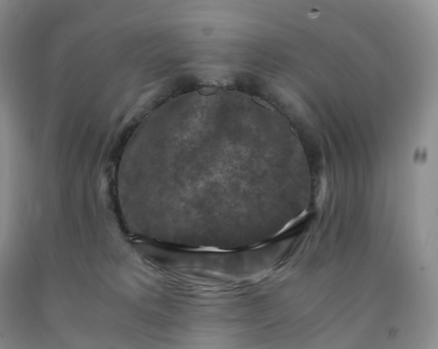 X0000092000229200709201516