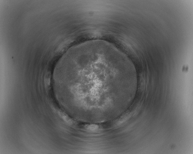 X0000092000230200709201516