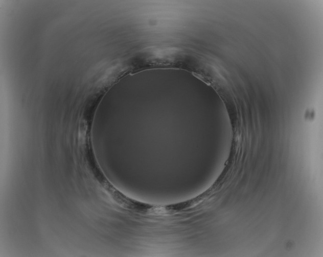 X0000092000231200709201516