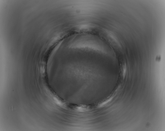 X0000092000232200709201516