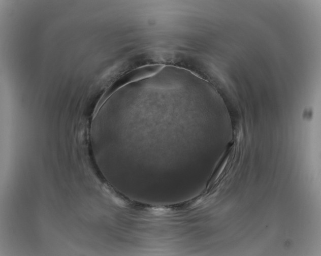 X0000092000233200709201515