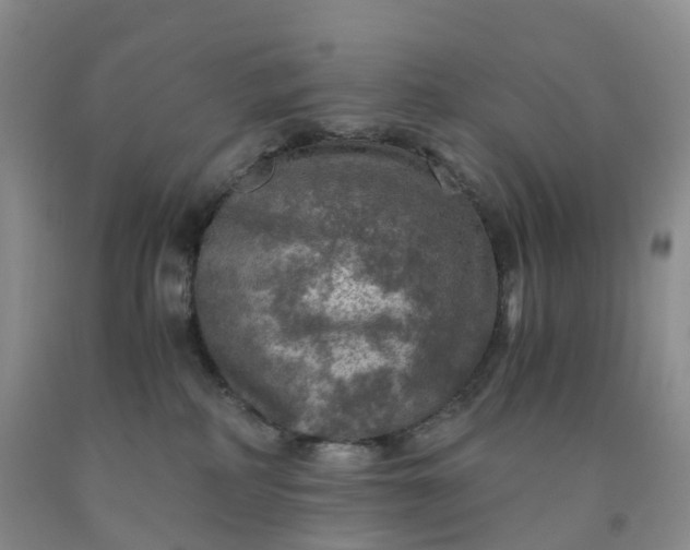 X0000092000234200709201515