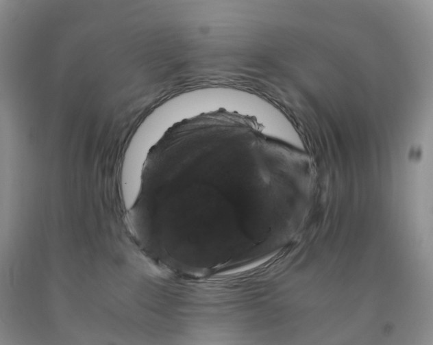 X0000092000235200709201515