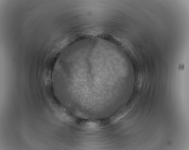 X0000092000236200709201515