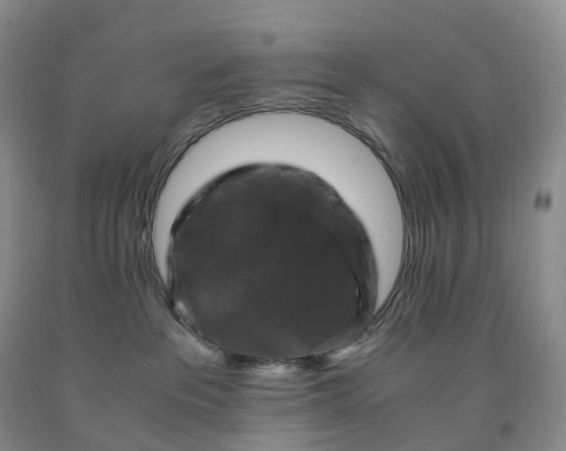 X0000092000237200709201515