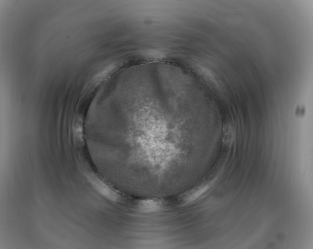 X0000092000238200709201515