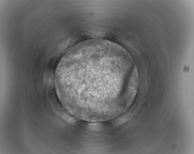 X0000092000240200709201515