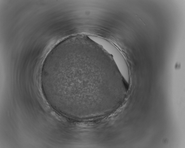 X0000092000241200709201515