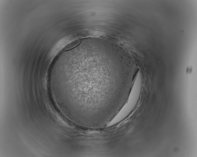 X0000092000242200709201515