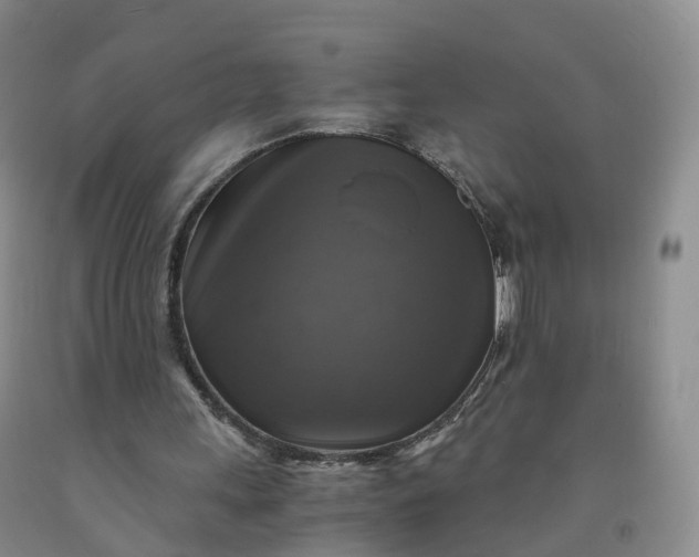 X0000092000243200709201515