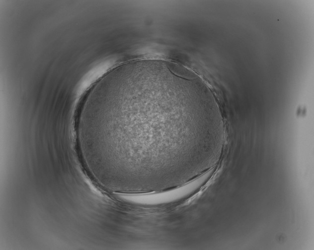 X0000092000245200709201515