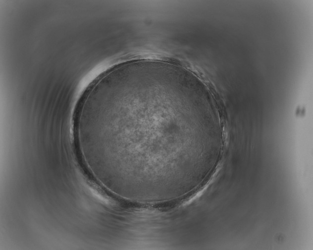 X0000092000246200709201515