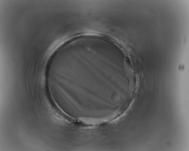 X0000092000247200709201515