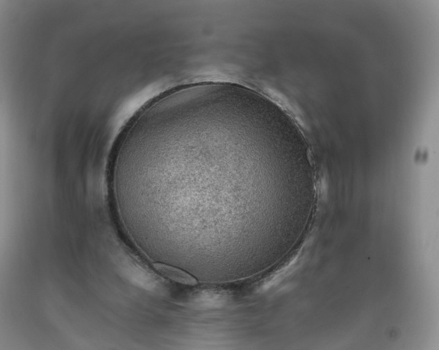 X0000092000248200709201515