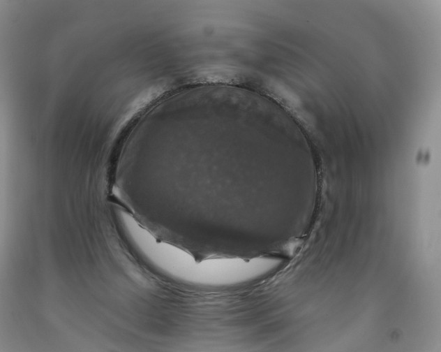 X0000092000250200709201515