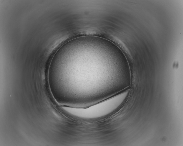 X0000092000251200709201515