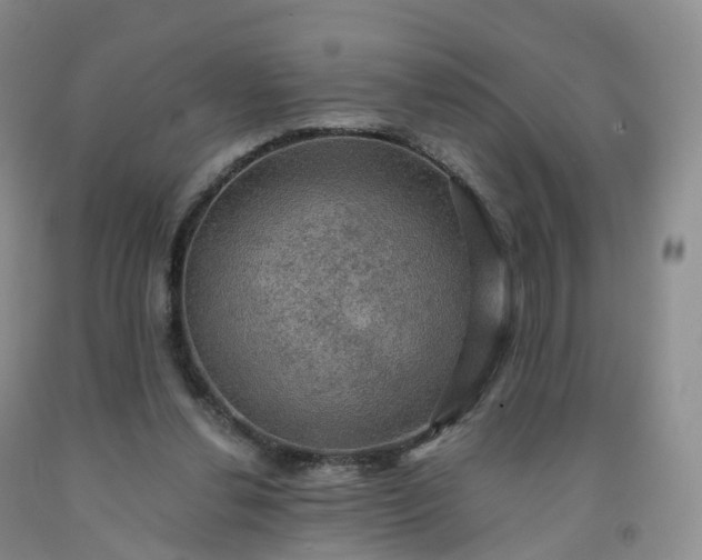 X0000092000252200709201515