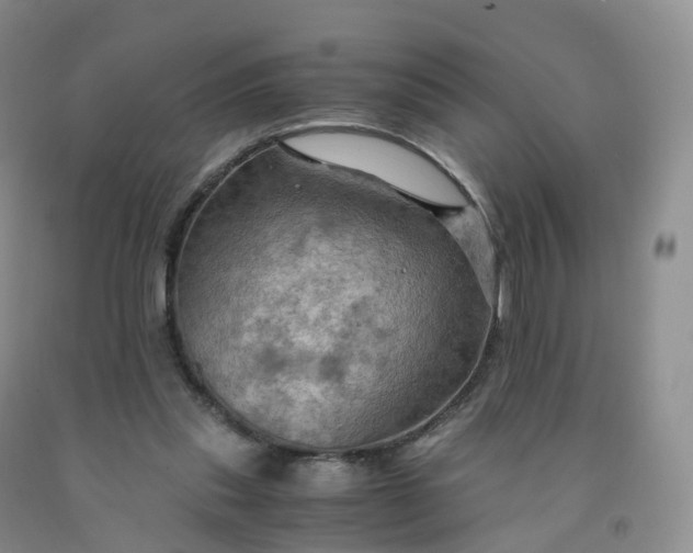 X0000092000253200709201515