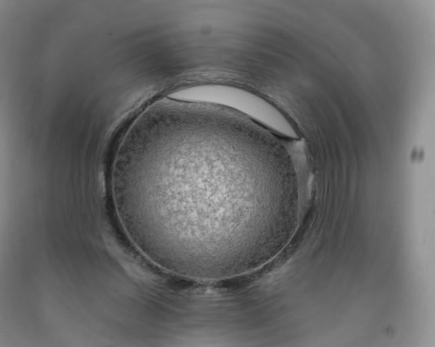 X0000092000254200709201515