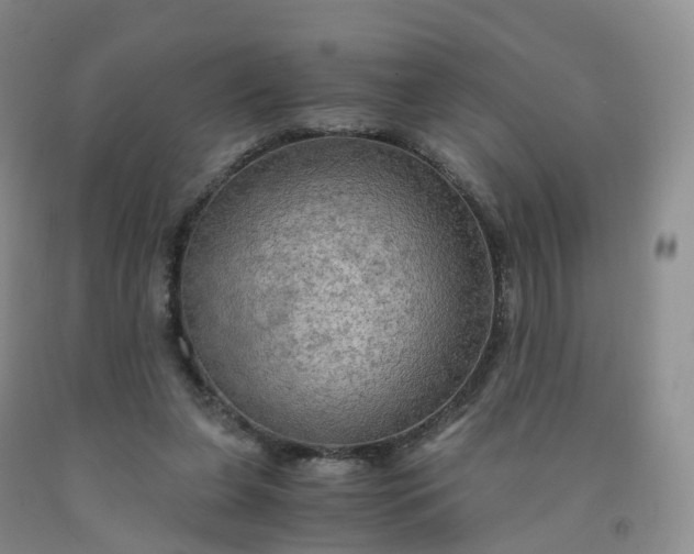 X0000092000255200709201515