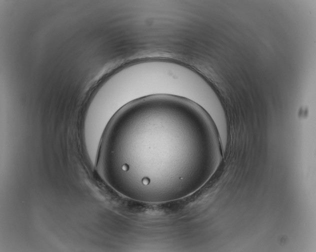 X0000092000256200709201515