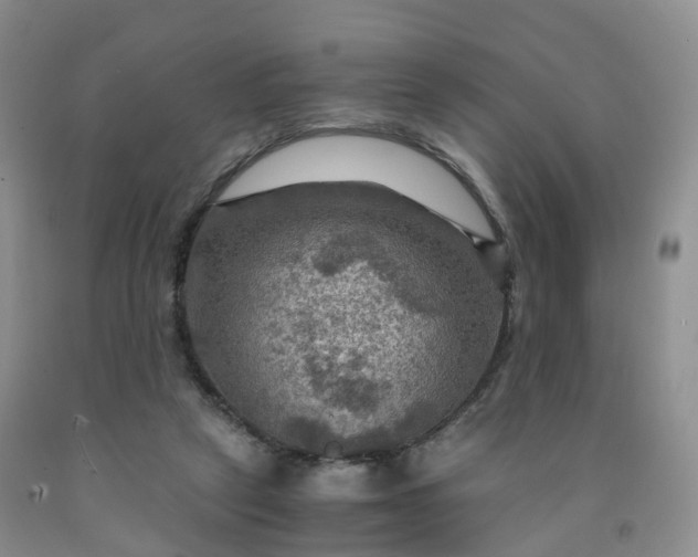 X0000092000257200709201515