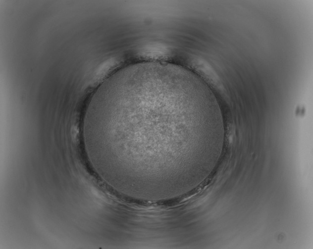 X0000092000259200709201515