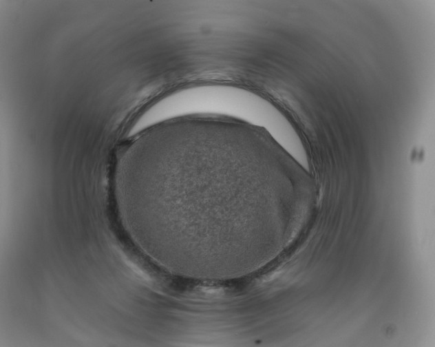 X0000092000260200709201515