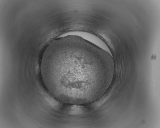 X0000092000261200709201515