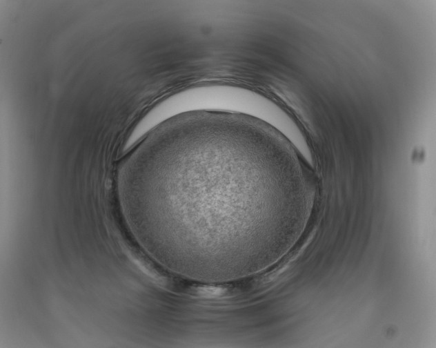 X0000092000265200709201515