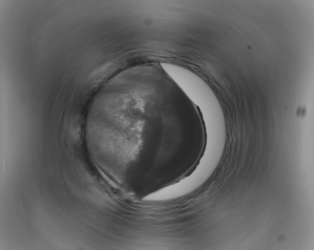 X0000092000266200709201515