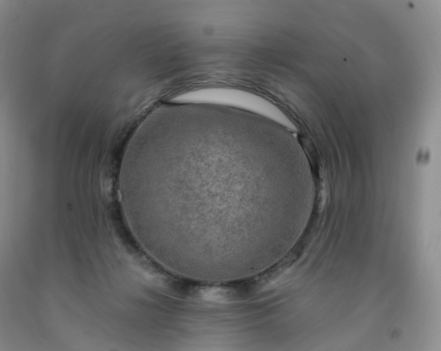 X0000092000268200709201515