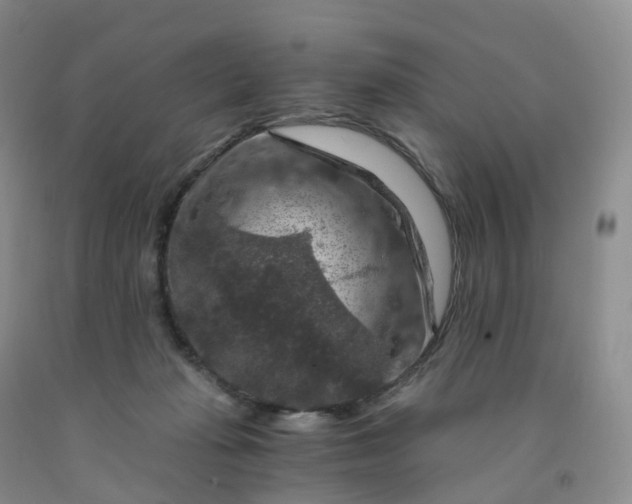 X0000092000269200709201515