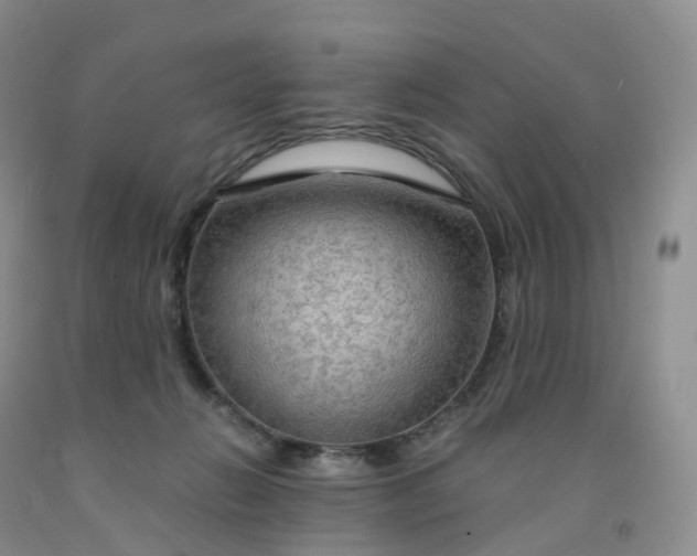 X0000092000270200709201515