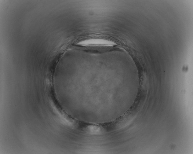 X0000092000272200709201515