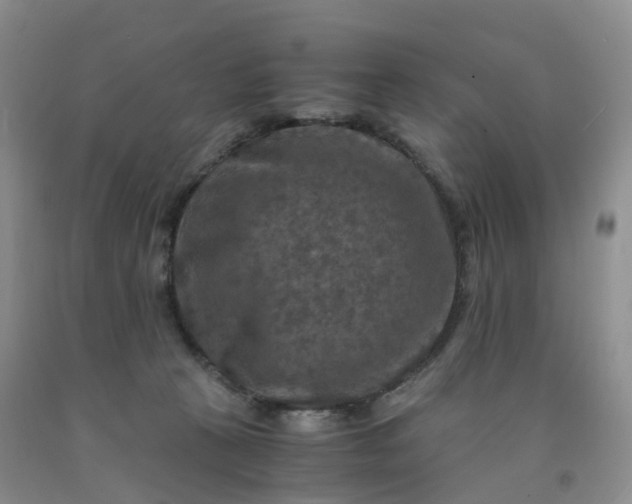 X0000092000273200709201515